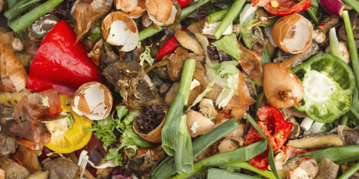 food waste food waste