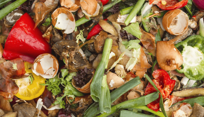 food waste food waste