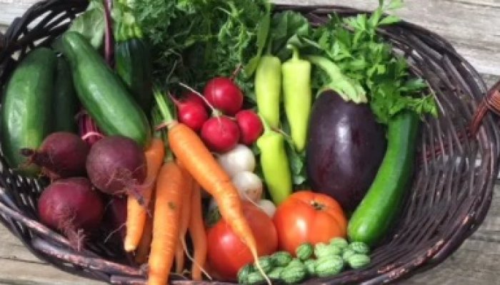 fifty-acre-garden-pic.jpg fifty-acre-garden-pic.jpg